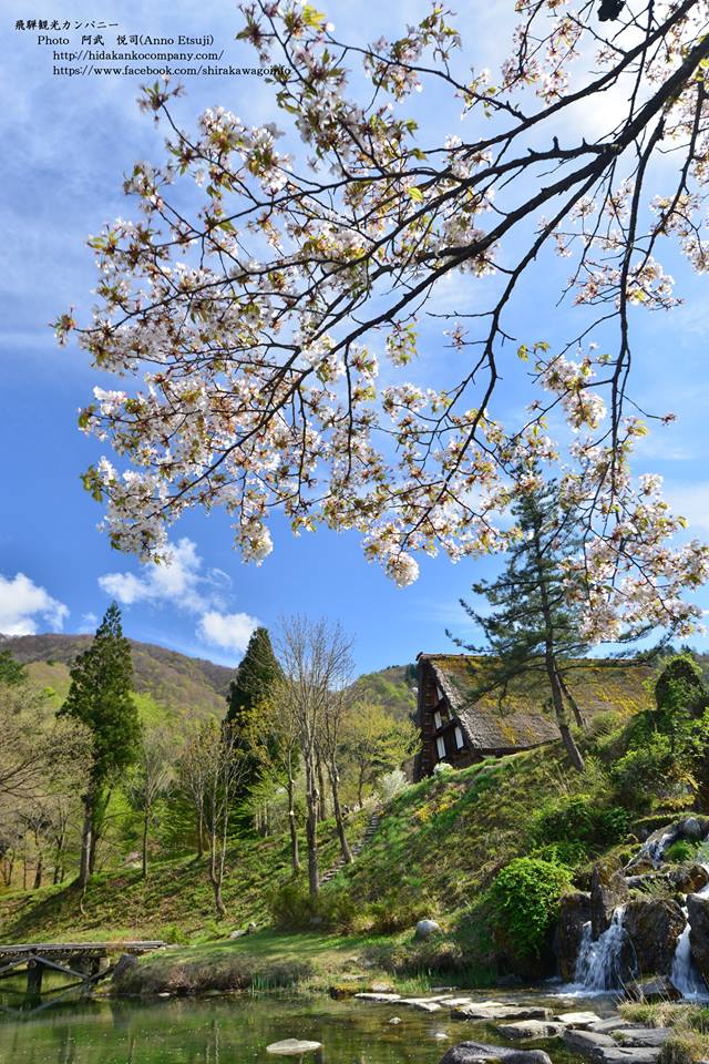 PChome旅行團 白川鄉合掌村