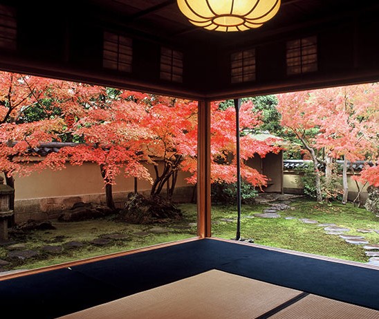 足立美術館 足立公園 米其林 足立茶室 第一次賞楓超完美 山陰山陽 PChome旅行團