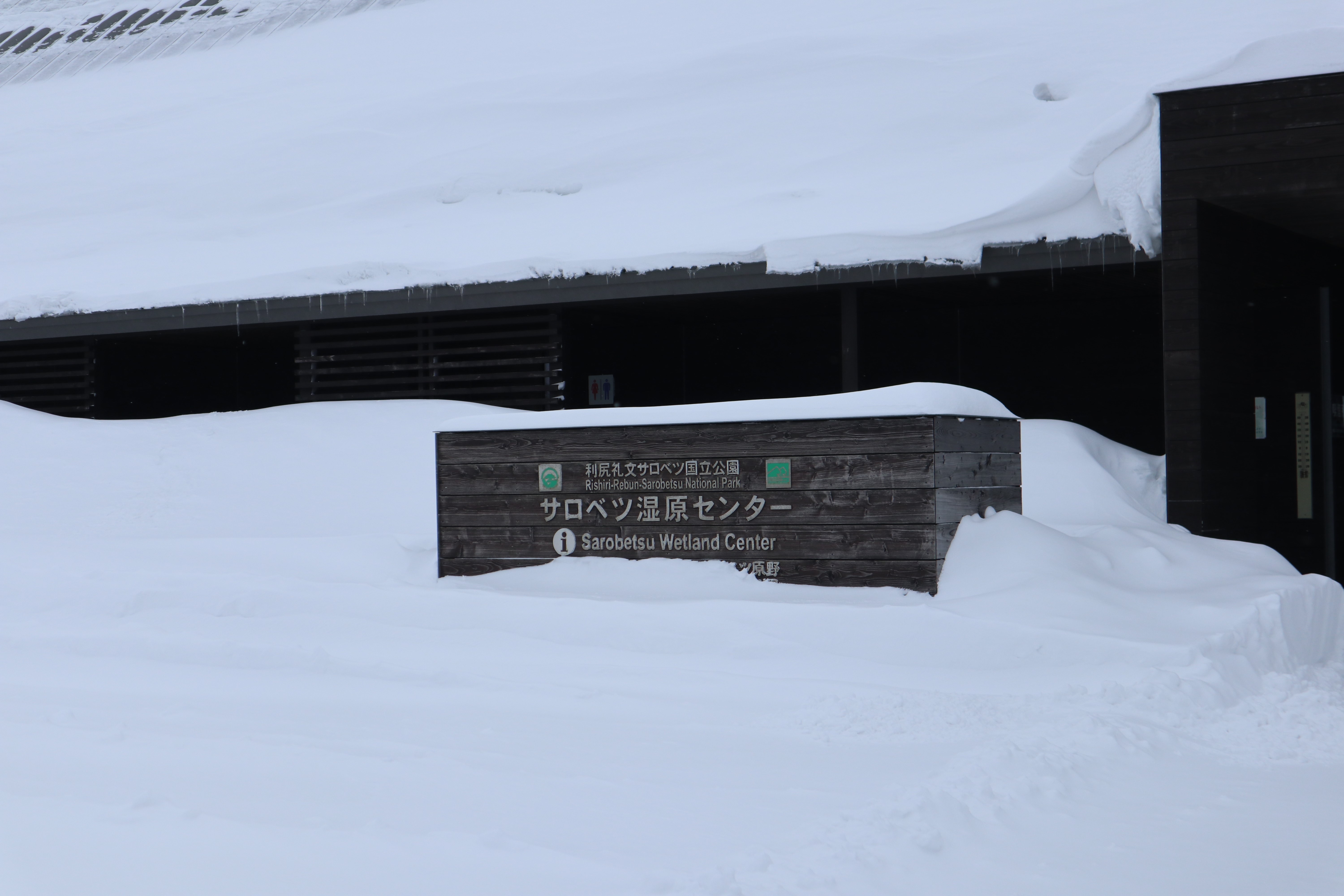 冬遊夢幻北北海道 禮文利尻國家公園 佐呂別濕原 PChome旅行團
