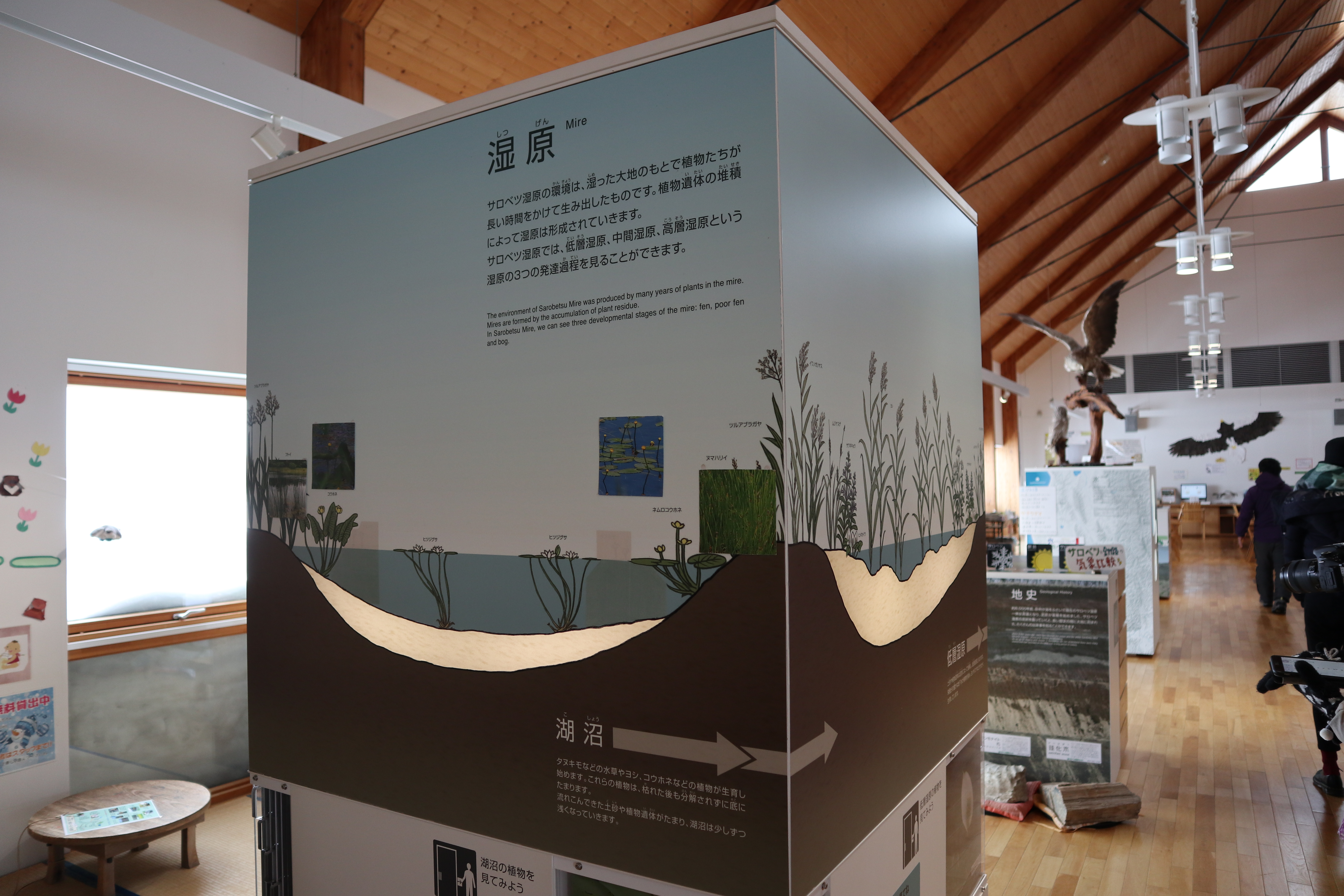 冬遊夢幻北北海道 禮文利尻國家公園 佐呂別濕原 PChome旅行團