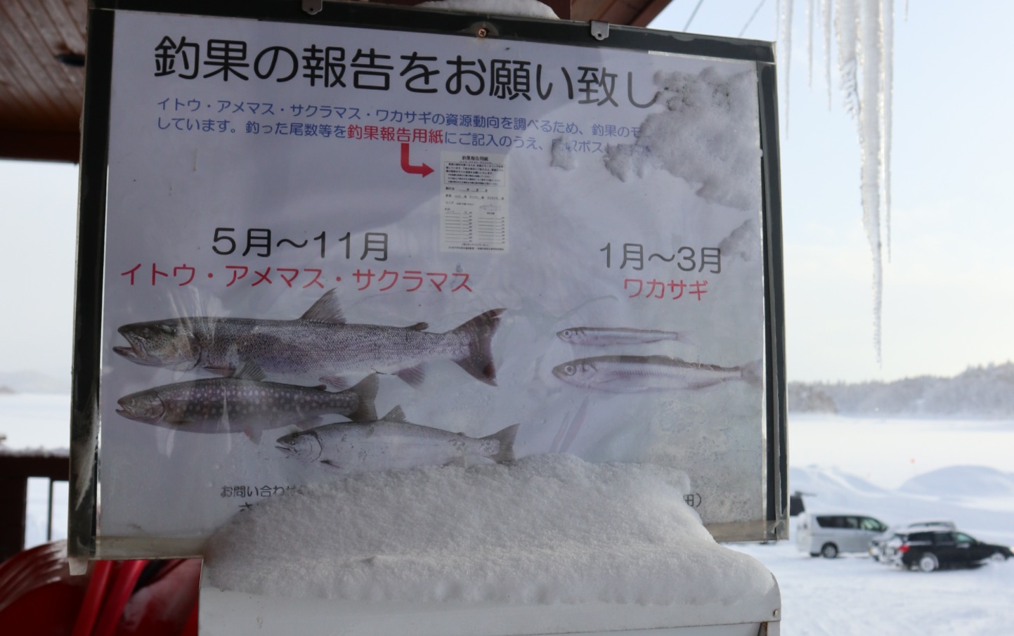 冬遊夢幻北北海道 冬季活動篇 朱鞠內湖冰上釣魚 佐呂別濕原雪地健行 旭川滑雪 冰壺運動 蕎麥麵體驗 PChome旅行團