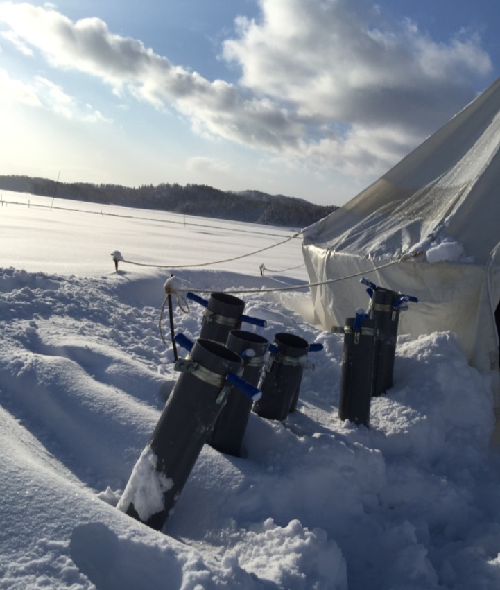 冬遊夢幻北北海道 冬季活動篇 朱鞠內湖冰上釣魚 佐呂別濕原雪地健行 旭川滑雪 冰壺運動 蕎麥麵體驗 PChome旅行團