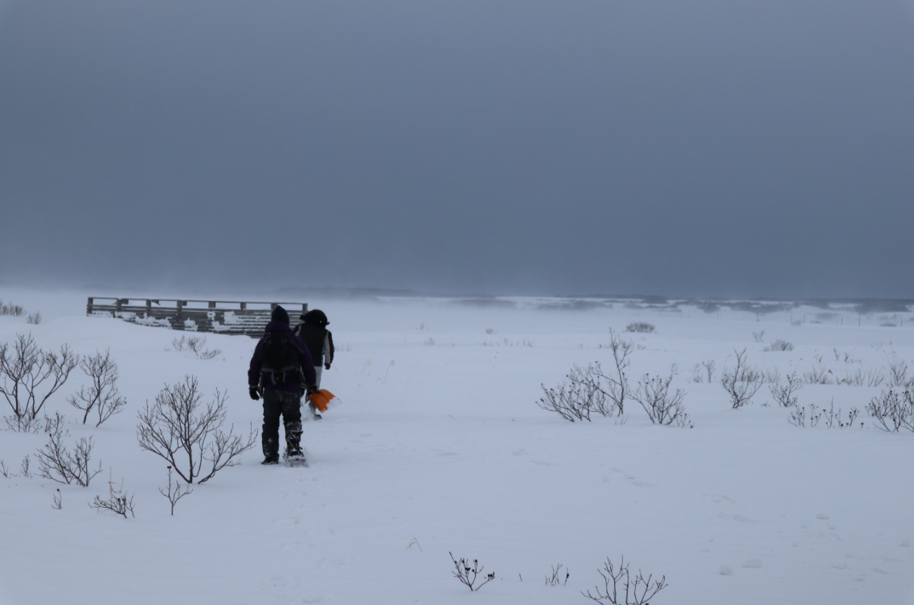 冬遊夢幻北北海道 冬季活動篇 朱鞠內湖冰上釣魚 佐呂別濕原雪地健行 旭川滑雪 冰壺運動 蕎麥麵體驗 PChome旅行團